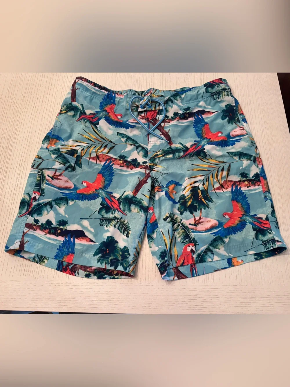 Men's Swim Trunks (2)